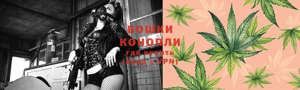 spice Бородино