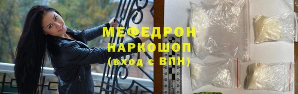 стаф Богданович
