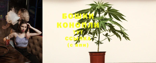 твердый Богородск