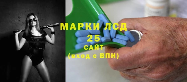 стаф Богданович