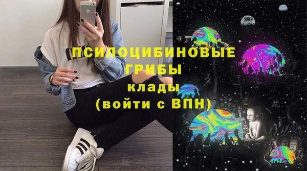 твердый Богородск
