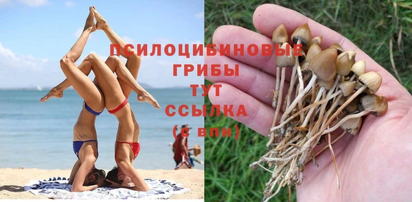 синтетический гашиш Бронницы
