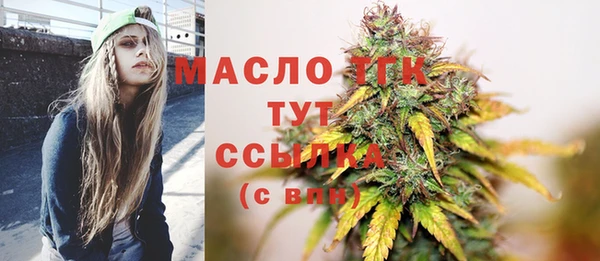 твердый Богородск