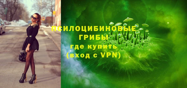 стаф Богданович
