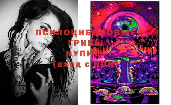 mdma Богородицк