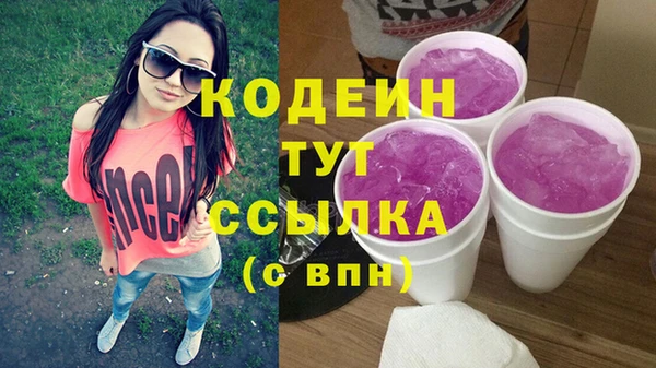 spice Бородино